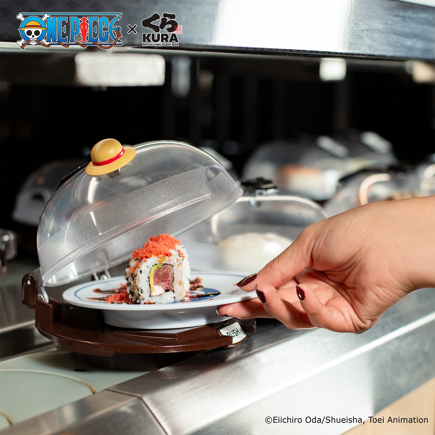 One Piece 2 Bikkura Pon Collaboration 11